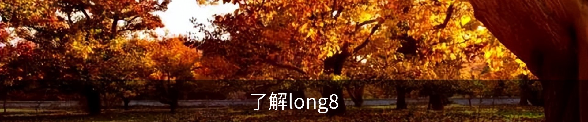 了解long8